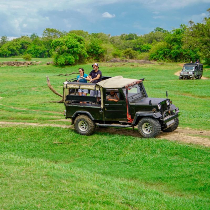 Jeep Safari